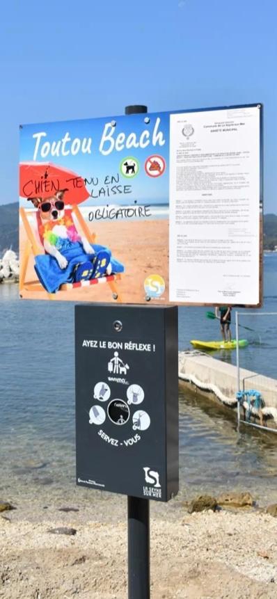 Studio Le Monroe Les Pieds Dans L'Eau 10 M De La Mer ลาแซน-ซูร์-แมร์ ภายนอก รูปภาพ